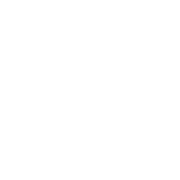 Small White Ring